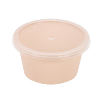 Reemp beige hinge container with transparent lid