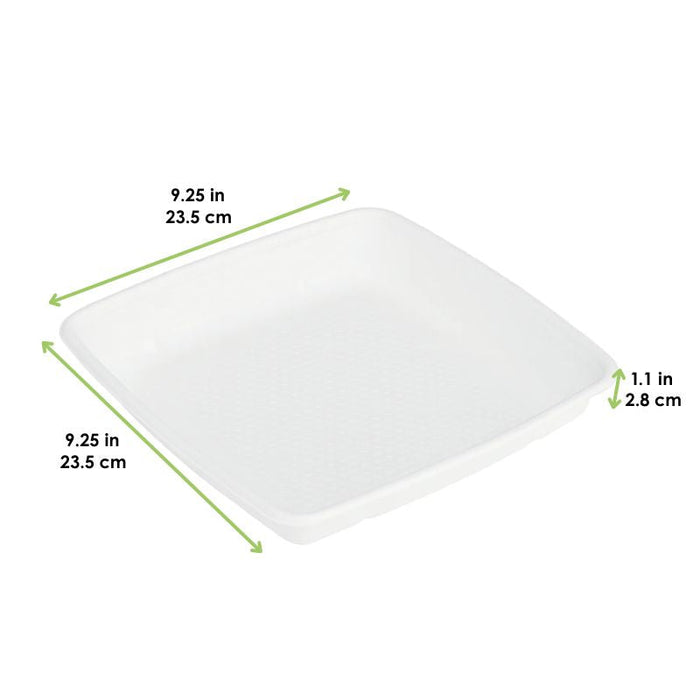 Plato cuadrado de pulpa blanca 1000ml 235x235mm A28mm - 200Uds