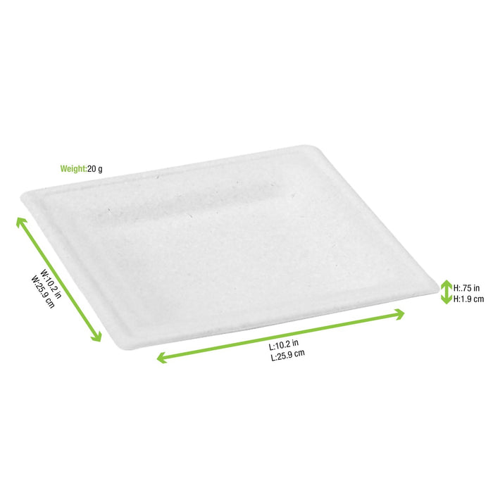 Plato blanco rectangular de pulpa. 260x260mm A20mm - 250Uds