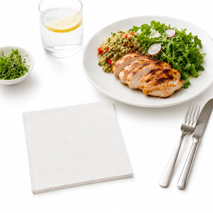 Servilleta de papel 2 capas 300x300mm - 3000Uds