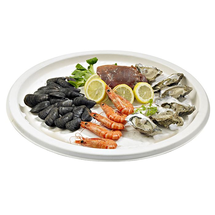 Bandeja catering redonda de pulpa Ø455mm - 24Uds